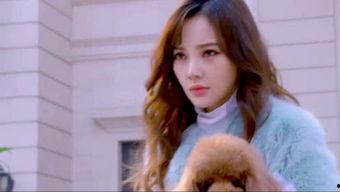 娱乐吃瓜直播讲故事是真的吗,娱乐故事背后的真实与虚构  第2张