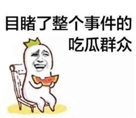娱乐吃瓜酱名言大全集视频  第3张