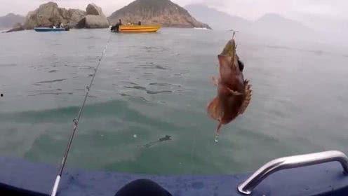 娱乐吃瓜钓鱼视频下载,一键下载收藏攻略  第3张