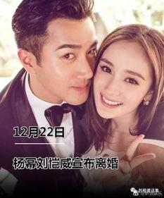 读心吃瓜番茄小说娱乐圈,番茄小说中的娱乐圈风云录  第2张